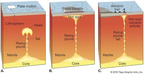 Fossilized marine plankton tell the tale of the end Permian mass extinction